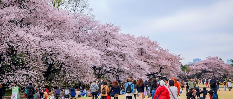 TOP 10 Things to do in Tokyo