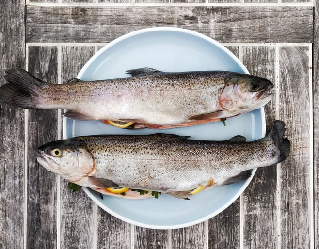 10 Reasons why you Should Switch to Fish for Fitness Choice