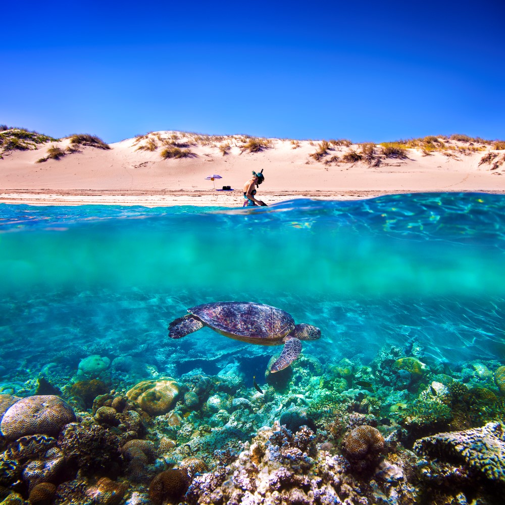 Best Beaches in Australia - Enjoy the extraordinary!