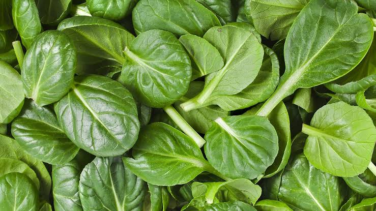 Energy-giving foods that will  Boost your Engine