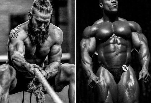 Your ultimate guide to Bodybuilding and CrossFitting